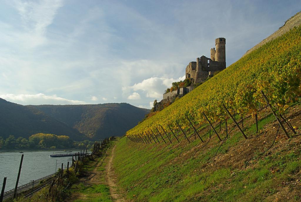Residence Bellevue Boppard Exterior photo